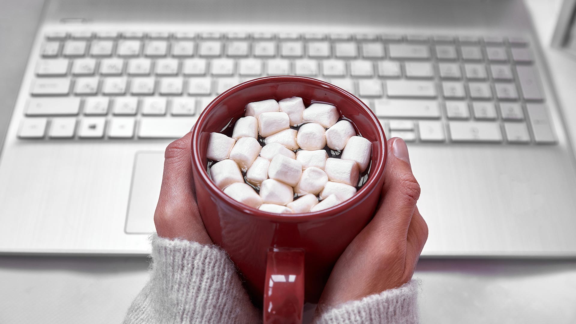 searching local seo 2024 in winter with hot chocolate